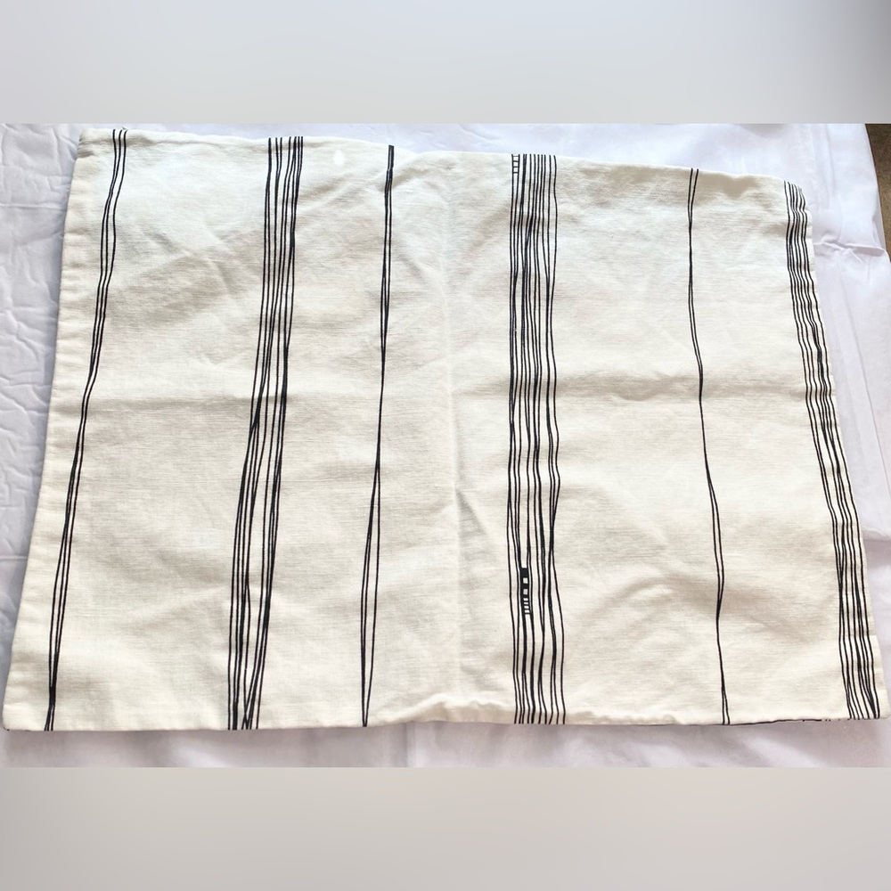 IKEA EIVOR Throw Pillow Cover - Picture 6 of 7